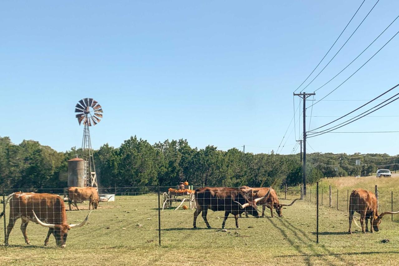 Family Friendly Hill Country Home 13 Mi To Lake! New Braunfels Zewnętrze zdjęcie